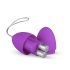 Easytoys - Ovo Vibratório com Controle Remoto, 7 Ritmos (Roxo)