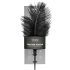 EasyToys - Pincel de Penas Longas (Preto)