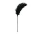 EasyToys - Pincel de Penas Longas (Preto)
