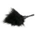 Easytoys - Pluma Acariciante - Pequena (Preta)