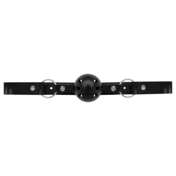 Secret Pleasure Chest - kit BDSM avançado - 14 peças - preto