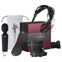   LoveBoxxx The Fantasy - kit de amarração com vibrador - 6 peças