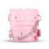 Baú do Prazer Secreto - Conjunto Avançado BDSM - 14 Peças (Rosa)