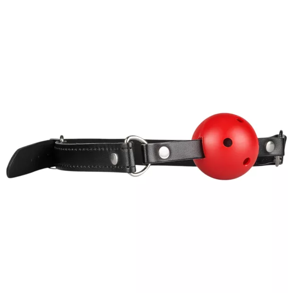 Secret Pleasure Chest - kit de BDSM avançado - 10 peças (vermelho)