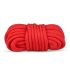 Baú do Prazer Secreto - Kit Avançado BDSM - 10 Peças (vermelho)