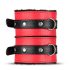 Baú do Prazer Secreto - Kit Avançado BDSM - 10 Peças (vermelho)