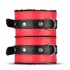Secret Pleasure Chest - kit BDSM avançado - 10 peças - vermelho