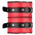 Secret Pleasure Chest - kit de BDSM avançado - 10 peças (vermelho)