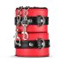 Baú do Prazer Secreto - Kit Avançado BDSM - 10 Peças (vermelho)