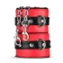 Secret Pleasure Chest - kit BDSM avançado - 10 peças - vermelho