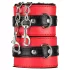 Secret Pleasure Chest - kit de BDSM avançado - 10 peças (vermelho)