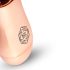 Mini Varinha Rosy Gold - Vibrador recarregável (rosegold)