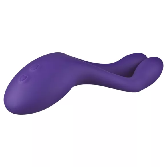 Teazers Partner Multifun - vibrador para casais (roxo)