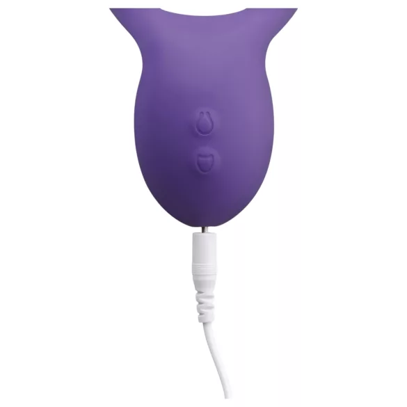 Teazers Partner Multifun - vibrador para casais (roxo)