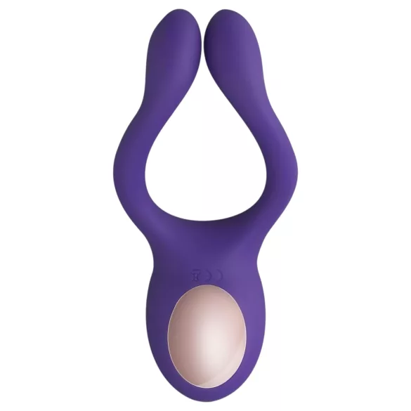 Teazers Partner Multifun - vibrador para casais (roxo)
