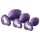 Conjunto de Treinamento Anal Flirts - Kit de Plugues (3 peças) - Roxo