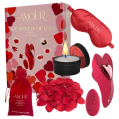   Dreamtoys Amour - conjunto de vibrador de calcinha utilizável (vermelho)