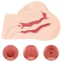 Kokos Maria - vagina e ânus artificiais realistas em forma de torso (cor de pele)