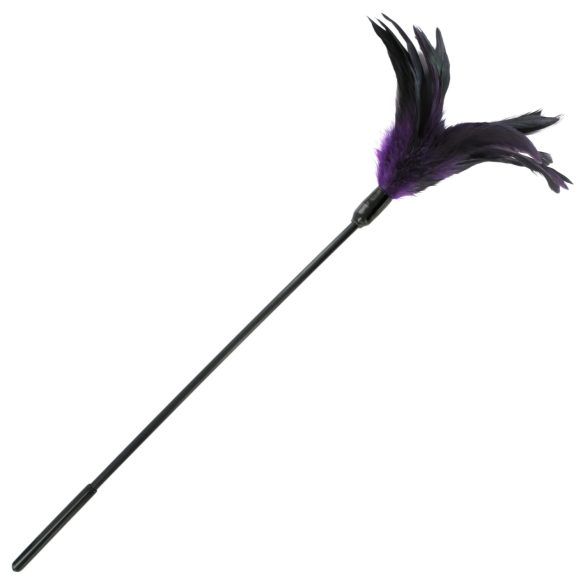 Sportsheets - Pluma Sensual Longa (roxo-preto)