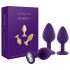 Rianne - Conjunto de 3 Plugues Anais de Silicone (Roxo)