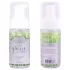 Intimate Earth Green Tea - spray desinfetante e de limpeza (100 ml)